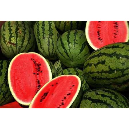 Hạt giống Dưa Hấu Siêu Ngọt F1 quả tròn