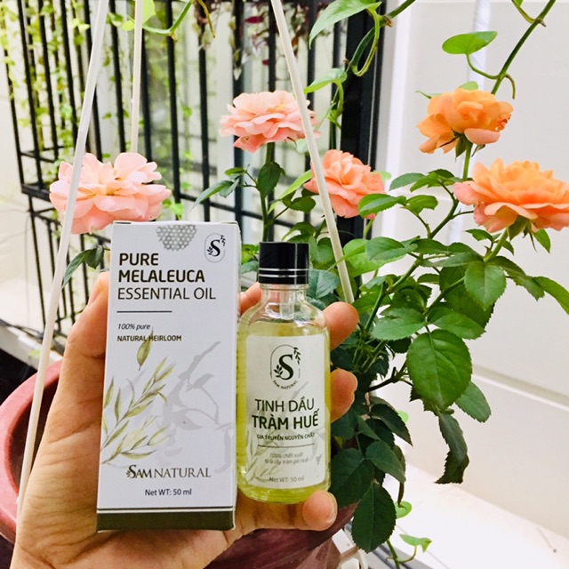 TINH DẦU TRÀM HUẾ - SAMNATURAL