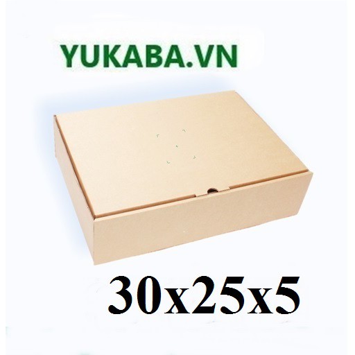 10 Thùng carton nắp gài size 30x25x5