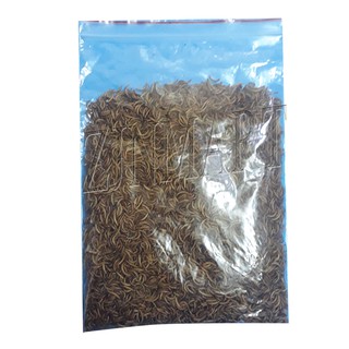 Sâu Khô Cho Chim, Hamster Ăn 50g - Sâu Khô Cho Gà, Trộn Chung Với Cám - Thức Ăn Chim, Hamster