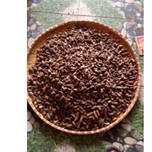Chuối rừng Kon Tum quả gẫy đôi giá rẻ (vẫn ngon nhé, chỉ không được nguyên quả dày)