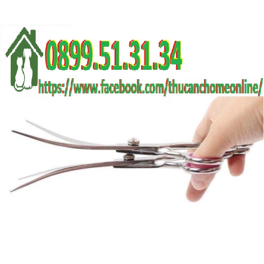 [Mã PET50K giảm Giảm 10% - Tối đa 50K đơn từ 250K] Kéo cong cắt tỉa lông cho chó mèo