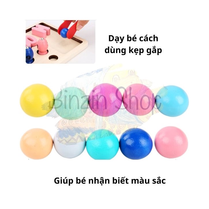 Bộ câu cá và ghép số Montessori 4 trong 1