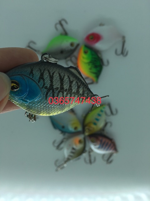 Mồi cá giả có 5bi câu chẽm, cá biển cực nhạy