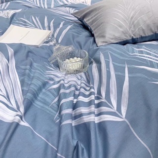 Vỏ drap cotton lụa Hàn Quốc