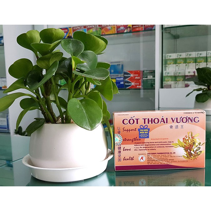 {CHÍNH HÃNG} Cốt Thoái Vương hỗ trợ giảm đau xương khớp, góp phần giúp xương chắc khỏe