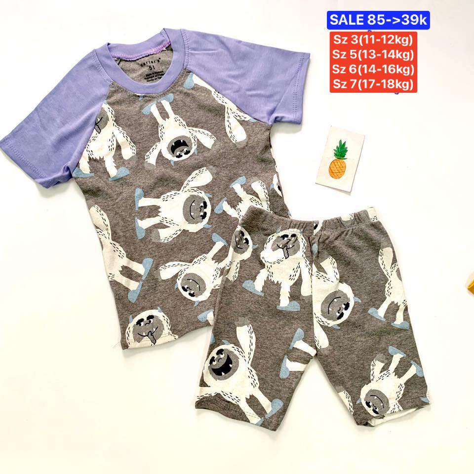 Bộ đồ hè cho bé trai chất cotton bozip, tay ráp lăng, size 2-7 tuổi (10-18kg), hàng Việt Nam