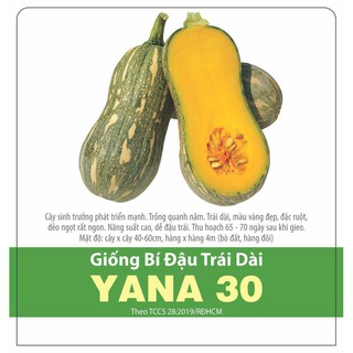[Rạng Đông] Hạt Giống Bí Đậu Trái Dài YANA 30 Sai Trái 5 Hạt Rạng Đông