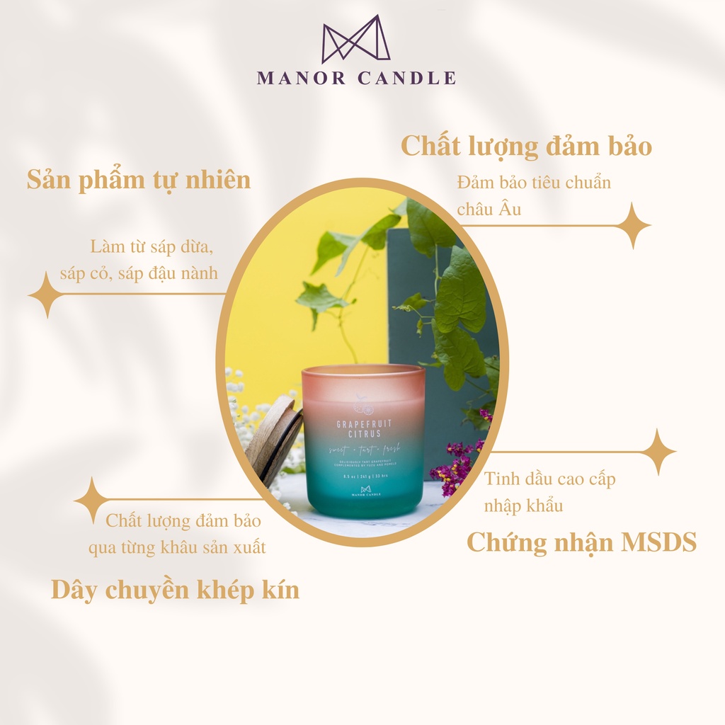 Nến Thơm Manor Candle Hương Grapefruit Citrus Bấc Gỗ Size 8.8 Oz 241g, Manor Candle