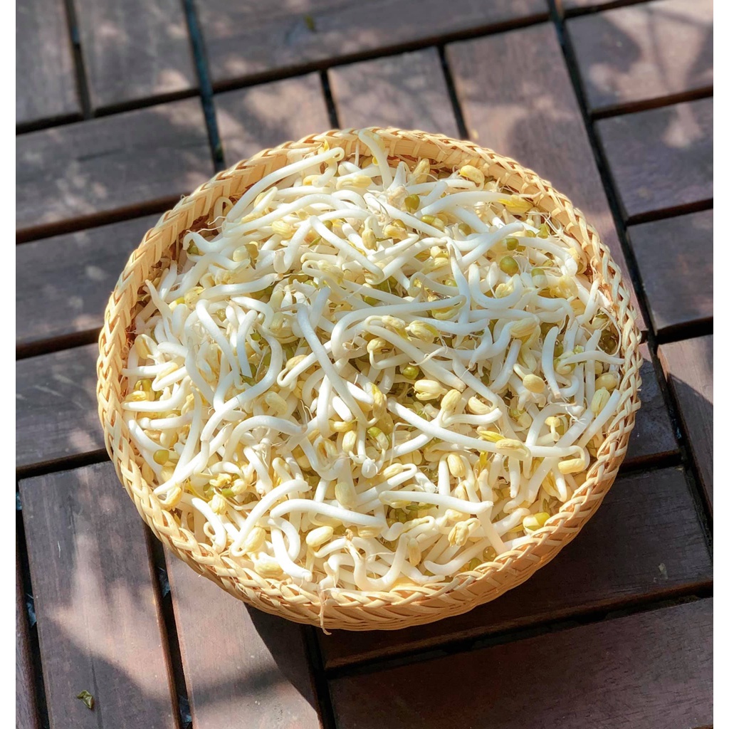 1KG ĐỖ XANH NGUYÊN HẠT LÀM GIÁ ĐỖ