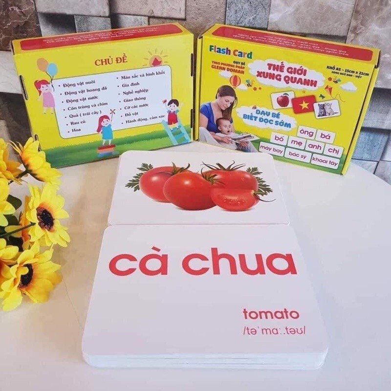 Bộ Thẻ Học Thông Minh Loại To A5 Cho Bé FlashCard Song Ngữ Việt Anh Dạy Trẻ Về Thế Giới Xung Quanh