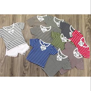 Combo áo kẻ HM siêu đẹp