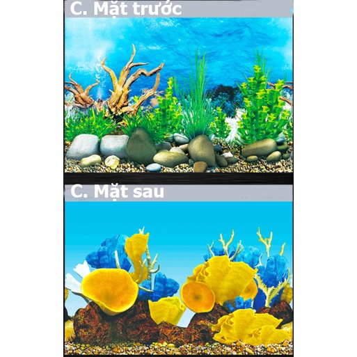Tranh 3d dán bể cá Aquablue hình ảnh 2 mặt siêu đẹp có sẵn keo dính đủ mọi kích thước (size lớn)