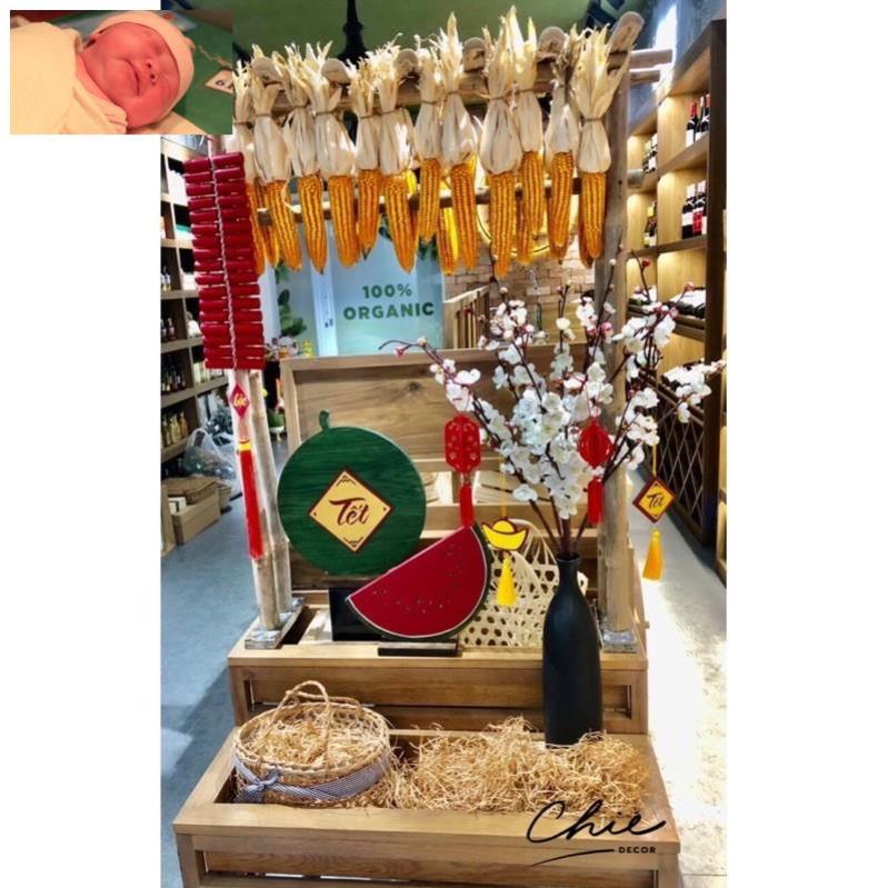Trái bắp khô,ngô khô trang trí , decor Tết siêu đẹp