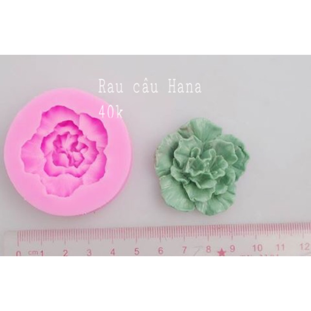 Khuôn rau câu Silicon 4D Cải xoắn Mã C1J0UH