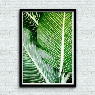 Tranh treo tường canvas lá xanh 40x60 kèm khung
