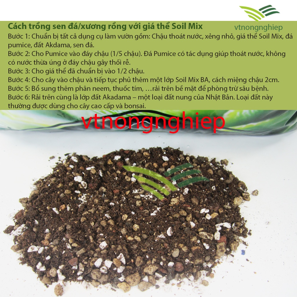 Giá thể trồng sen đá Soil Mix cao cấp, đơn 0.5kg-1kg, đất trồng sen đá, xương rồng, kích rễ, tăng trưởng