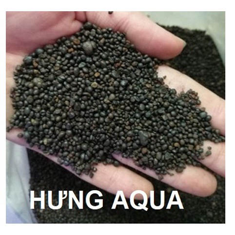 Sỏi suối nâu - sỏi suối trải nền trang trí bể cá cảnh, hồ cá thủy sinh, hồ nuôi tép (500g - 1kg)