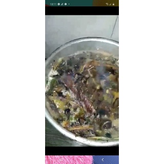 COMBO GỘI ĐẦU 18 VỊ =1,2kg