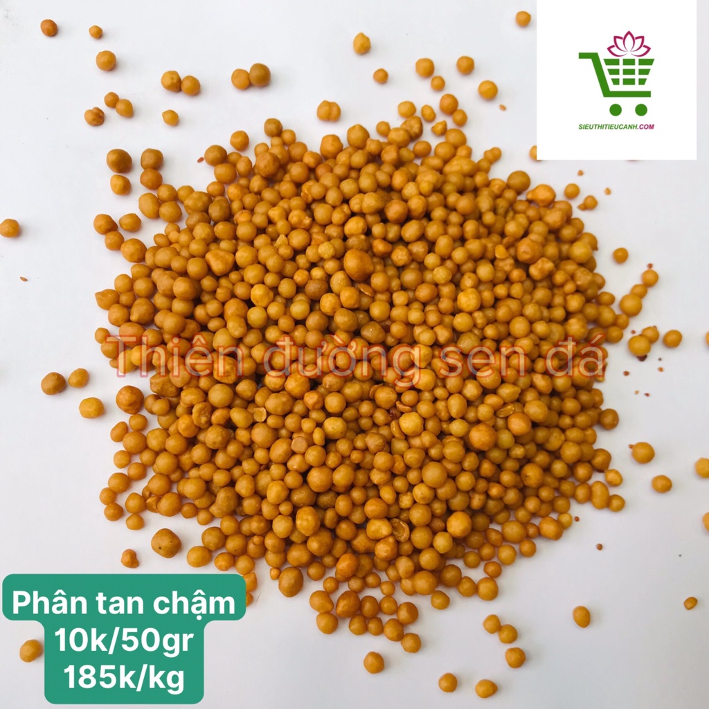 PHÂN TAN CHẬM SIÊU DINH DƯỠNG CHO SEN ĐÁ, XƯƠNG RỒNG