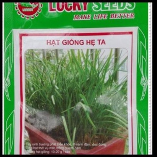 Hạt giống rau hẹ ta gói 10 gram