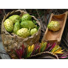 Trái nhàu khô loại 1 quả chín to đều