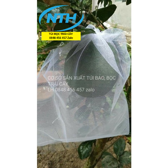 TÚI BỌC BƯỞI DA XANH,BƯỞI DIỄN,DƯA LƯỚI,CHÙM NHO CHẮT LIỆU LƯỚI DÀY TỐT KÍCH THƯỚC 30*35cm
