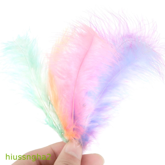 50 Lông Vũ Nhiều Màu Kích Thước 4-6 Inches10-15Cm Dùng Trang Trí Tiệc Cưới