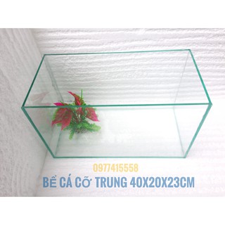 🐬 Bể cá cảnh cỡ trung 40cm - tặng đồ trang trí bể nuôi cá cảnh