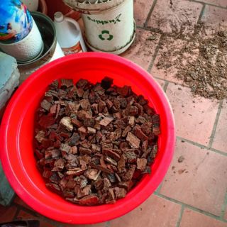 Vỏ thông băm nhỏ