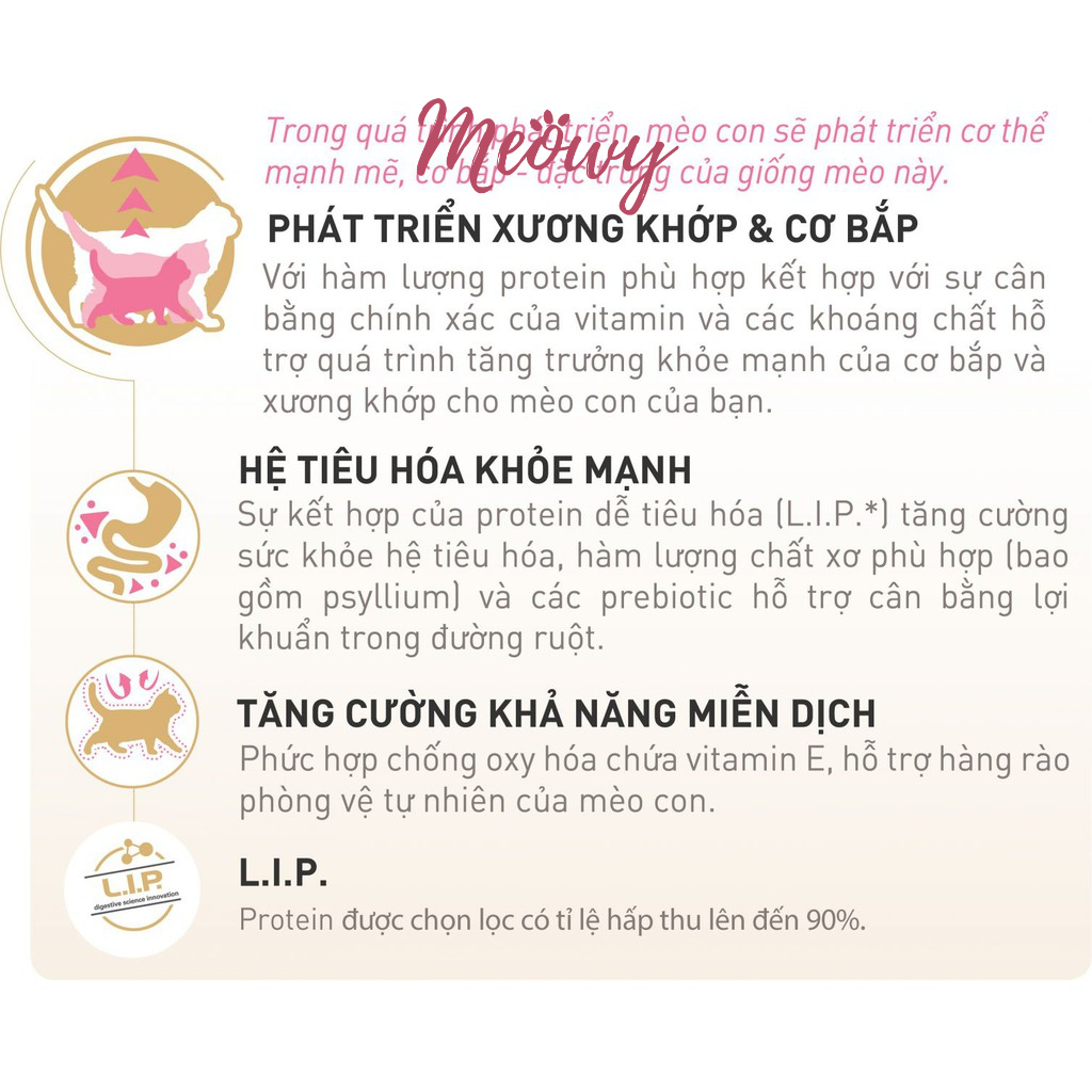 Hạt Royal Canin British Shorthair cho mèo Anh lông ngắn