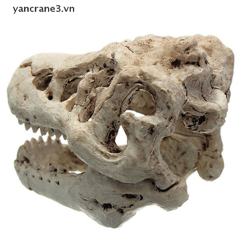 Đầu Lâu Cá Sấu Nhựa Trang Trí Bể Cá