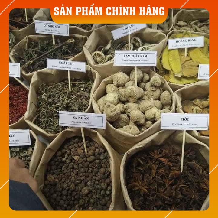 [Freeship] SÂM CAU ĐỎ dược liệu ngâm rượu bổ dương mạnh gân cốt túi túi 1kg