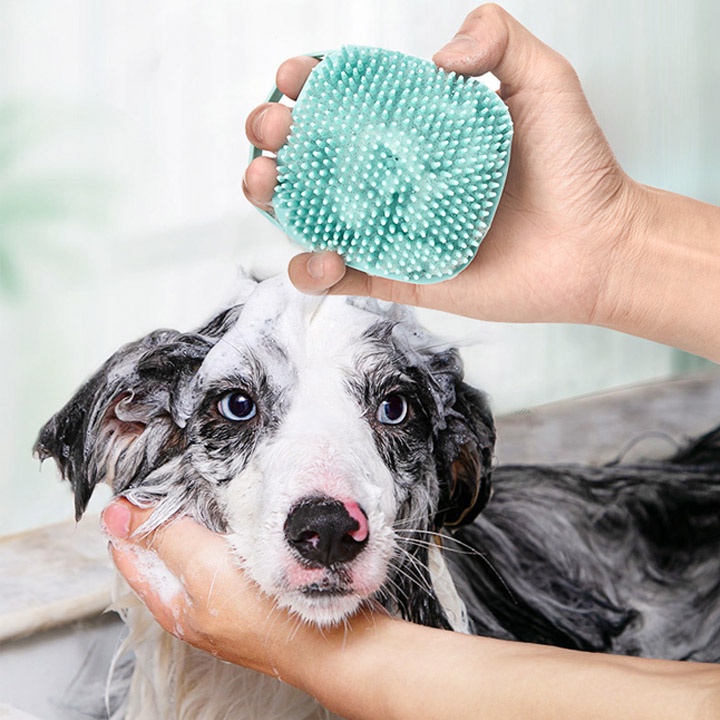 Bàn Chải Tắm Mát Xa Tạo Bọt Cho Chó Mèo Thú Cưng #Tintin Pet Store