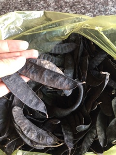 Bồ kết 1kg
