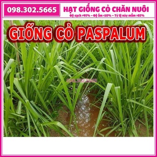 Hạt giống cỏ xả chịu ngập UBON Paspalum - gói 200g