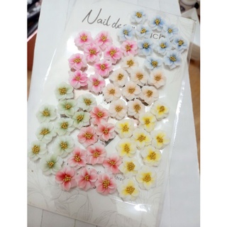 Hoa bột nail- hoa dùng trang trí móng tay và chân
