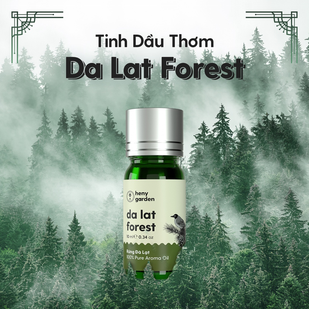 Tinh Dầu Phối Hương Da Lat Forest (Gỗ) Xông Thơm Phòng, Làm Nến Thơm Thiên Nhiên Heny Garden 10mL