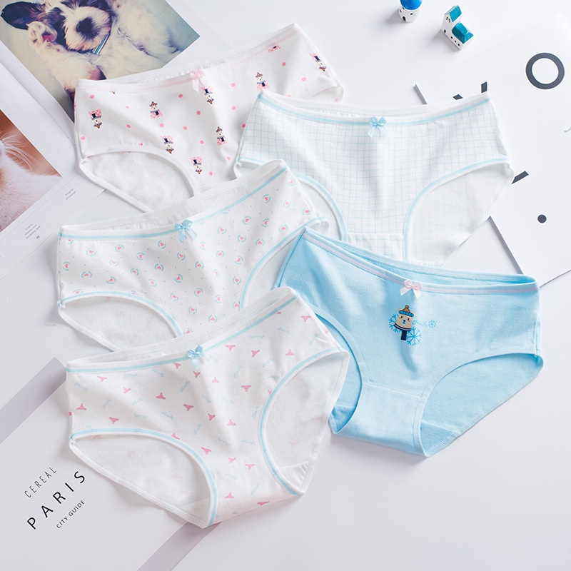[Che tên] Combo hộp quần lót cotton nữ trẻ trung, phong cách QL007