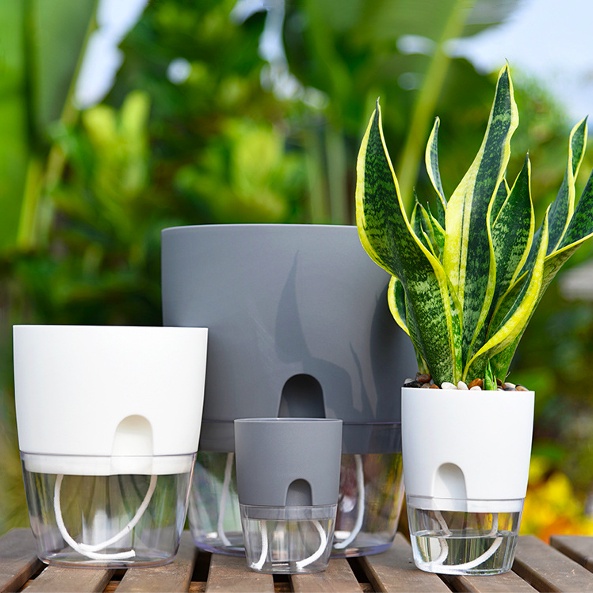 Chậu trồng cây mini Oliz A7. Chậu cây để bàn có chức năng tự tưới nước cho cây