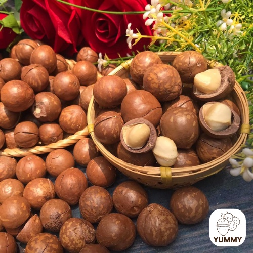 Hủ 500g hạt macca nứt vỏ giòn béo Yummny nuts tốt cho ăn kiêng và mẹ bầu