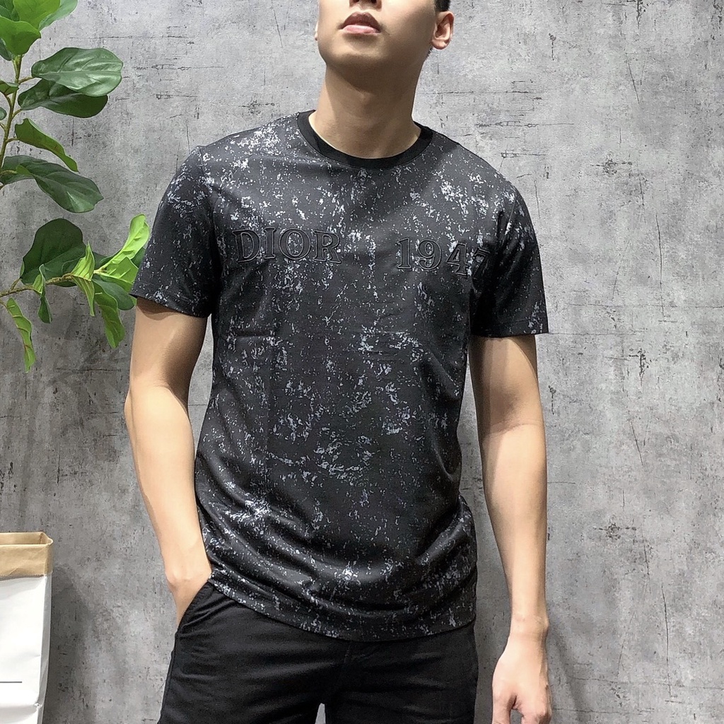 Áo thun cổ tròn nam áo phông ngắn tay bigsize thời trang cao cấp APNH - 11 - 2149