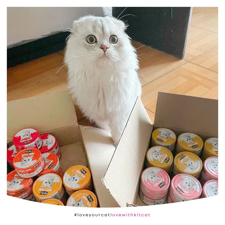 PATE KITCAT GOAT MILK CHO MÈO