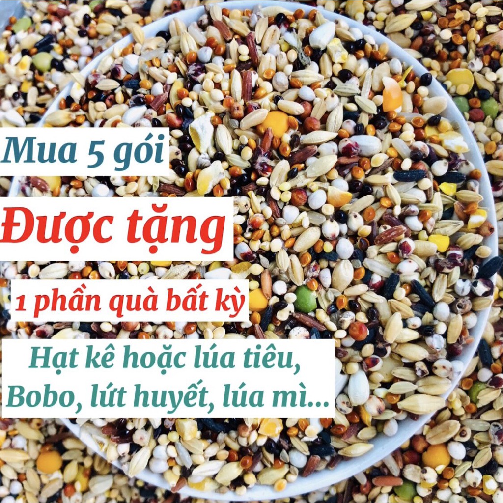 500gram thức ăn ngũ cốc chim cu gáy Javan 12 loại hạt