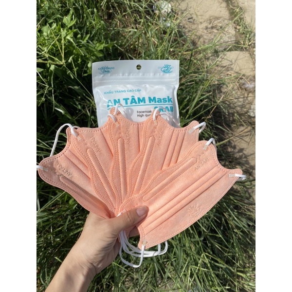 Thùng 300 chiếc khẩu trang KingKua An Tâm