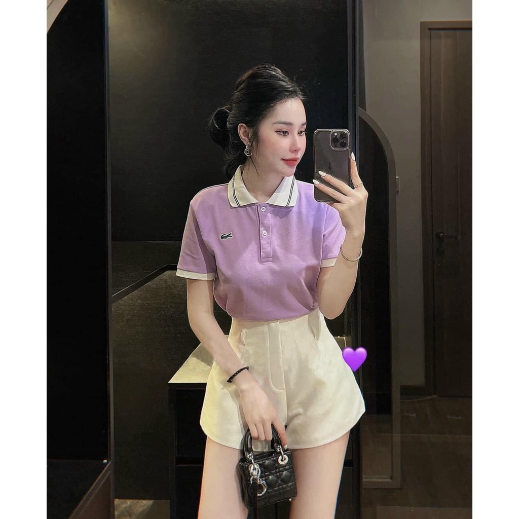 ÁO POLO NỮ CỔ ĐỨC MÀU TÍM PHỐI TRẮNG DỊU DÀNG CHẤT SIÊU ĐẸP