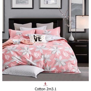 Bộ drap hàn quốc 100% cotton