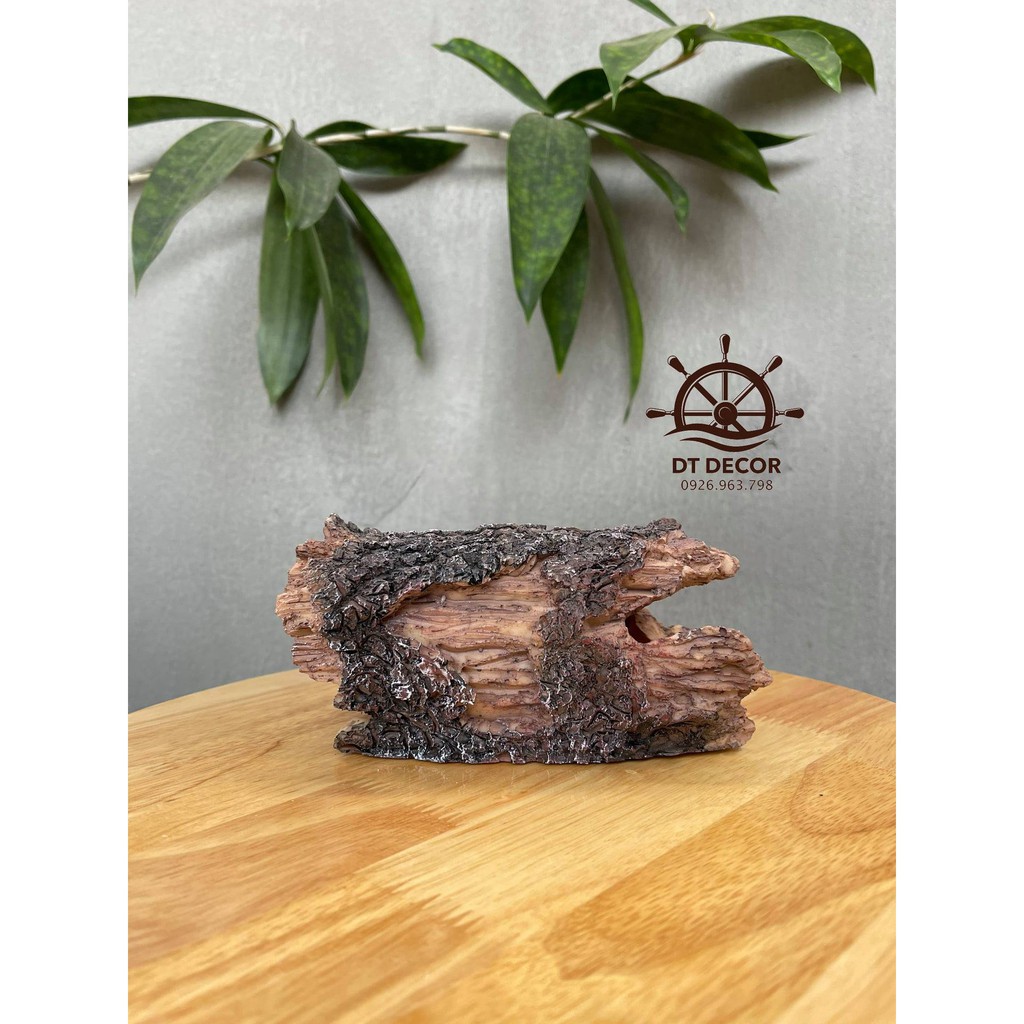 Khúc gỗ mục có vỏ để bể tép