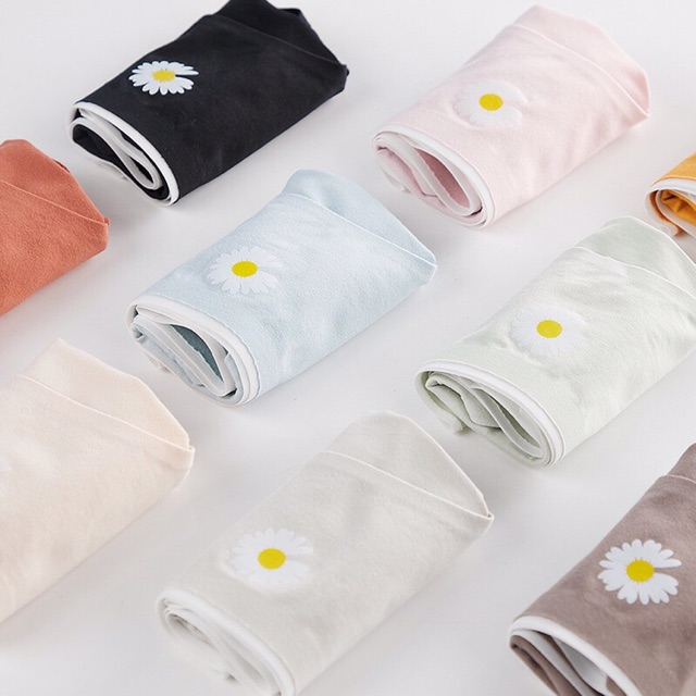 Quần Lót Cotton Ép Không Viền Hoa Cúc Hotrend 287