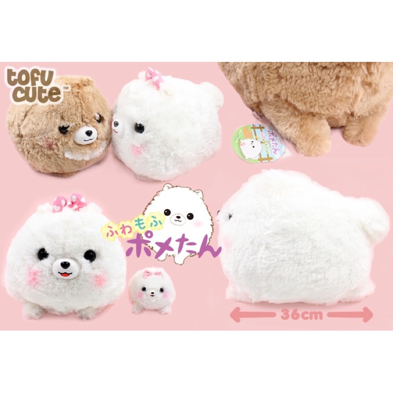AMUSE POOM DOG TOFU CUTE 🌼🌼